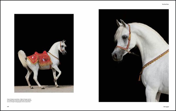 Book cover of Al Shaqab: The Legacy of Arabian Horses, with a white horse with a colourful rug on its back. Published by Silvana.