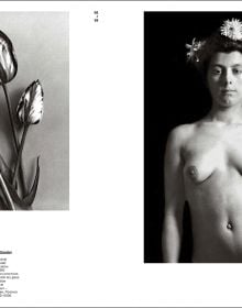 Book cover of Mapplethorpe/Von Gloeden: Beauty and Desire, featuring two black and white portrait photographs, framed on exhibition wall. Published by Silvana.