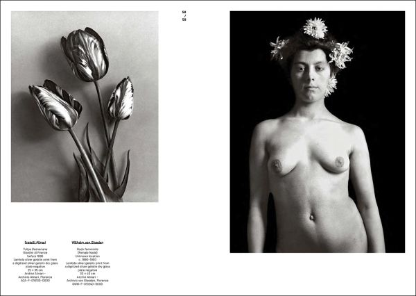 Book cover of Mapplethorpe/Von Gloeden: Beauty and Desire, featuring two black and white portrait photographs, framed on exhibition wall. Published by Silvana.