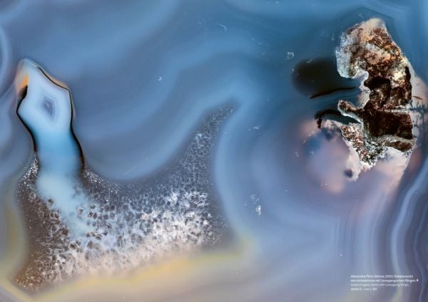 Book cover of Alexandra Pirici: Attune, with museum interior hall. Published by Silvana.