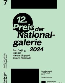Book cover of Preis der Nationalgalerie 2024: Pan Daijing. Dan Lie. Hanne Lippard. James Richards. Published by Silvana.