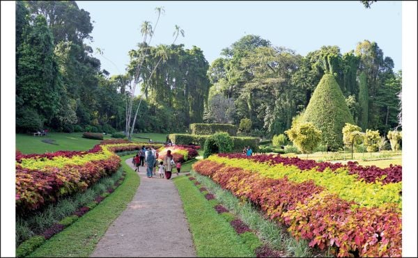 Book cover of Gardens of Sri Lanka: 2000 Years of Landscape Architecture Tradition. Published by Silvana.
