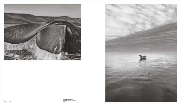 Book cover of Sebastião Salgado featuring a tribesman in traditional dress and face paint. Published by Silvana.