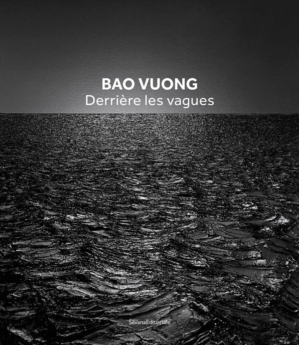 Book cover of Bao Vuong: Derrière les vagues; featuring a dark seascape. Published by Silvana.