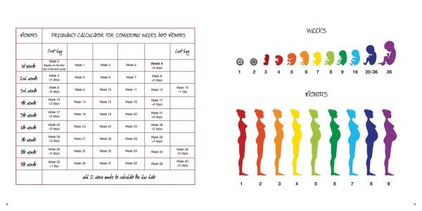 Book cover of Pregnancy Journal, 9 Months to Remember, with blue flowers and leaves. Published by White Star.