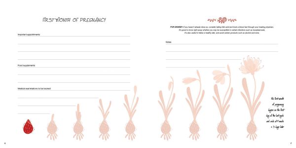 Book cover of Pregnancy Journal, 9 Months to Remember, with blue flowers and leaves. Published by White Star.