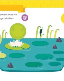 Book cover of My First Book of the Garden, Montessori Activity Book, with a grey and black butterfly, two blue hydrangeas, and a bee. Published by White Star.