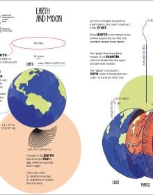 Book cover of Planet Earth, with wild animals: parrot, kangaroo, turtle and fish. Published by White Star.