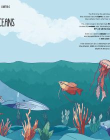 Book cover of Planet Earth, with wild animals: parrot, kangaroo, turtle and fish. Published by White Star.