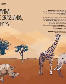 Book cover of Planet Earth, with wild animals: parrot, kangaroo, turtle and fish. Published by White Star.