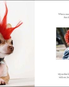 Book cover of 365 Days of Smiles, with a beige pug asleep on floor with tongue hanging out. Published by White Star.