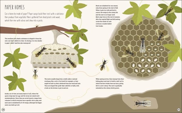 Book cover of What's Inside? Discover the Secret World of Animals, with badgers and foxes underground, and mole poking out of ground, with squirrel in tree. Published by White Star.