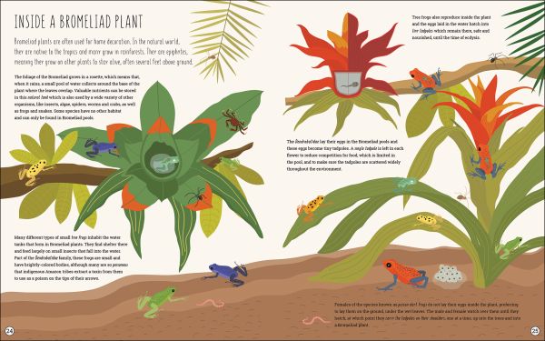 Book cover of What's Inside? Discover the Secret World of Animals, with badgers and foxes underground, and mole poking out of ground, with squirrel in tree. Published by White Star.