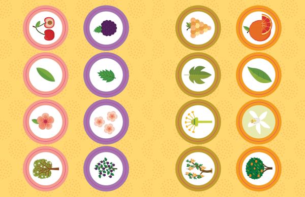 Activity box My First Box of Gardens, Montessori: A World of Achievements, with an autumn tree, hedgehog, mushroom and bird. Published by White Star.