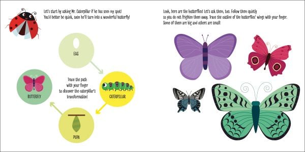 Book cover of My First Book of the Garden, Montessori: A World of Achievements, with wild birds, insects and flowers. Published by White Star.