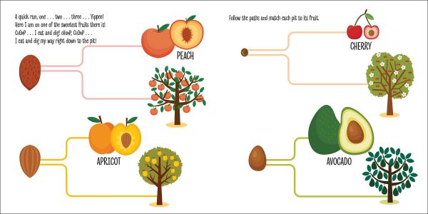 Book cover of My First Book of the Vegetable Garden, Montessori: A World of Achievements, with a selection of fruit and vegetables: apple, strawberry, carrot and onion. Published by White Star.