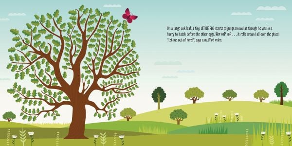 Book cover of The Birth of a Butterfly, Montessori: A World of Achievements, with a dark red butterfly above meadow. Published by White Star.