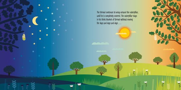 Book cover of The Birth of a Butterfly, Montessori: A World of Achievements, with a dark red butterfly above meadow. Published by White Star.