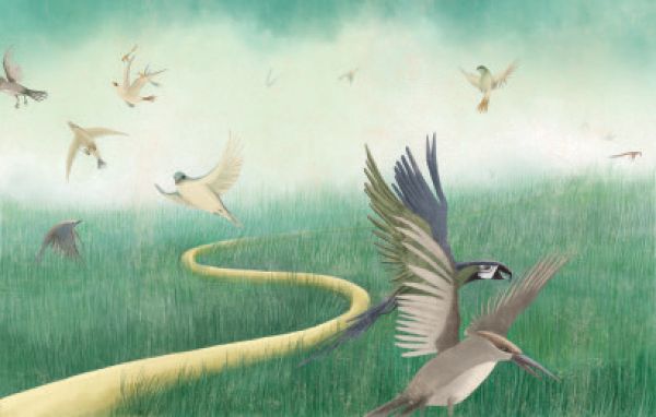 Book cover of The Jungle Book, Based on the Masterpiece by Rudyard Kipling, with Mowgli leaning on a two black wolves. Published by White Star.