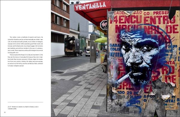 Book cover of C215: #christianguemy Stencil Art, with a stenciled image of cat looking up. Published by White Star.