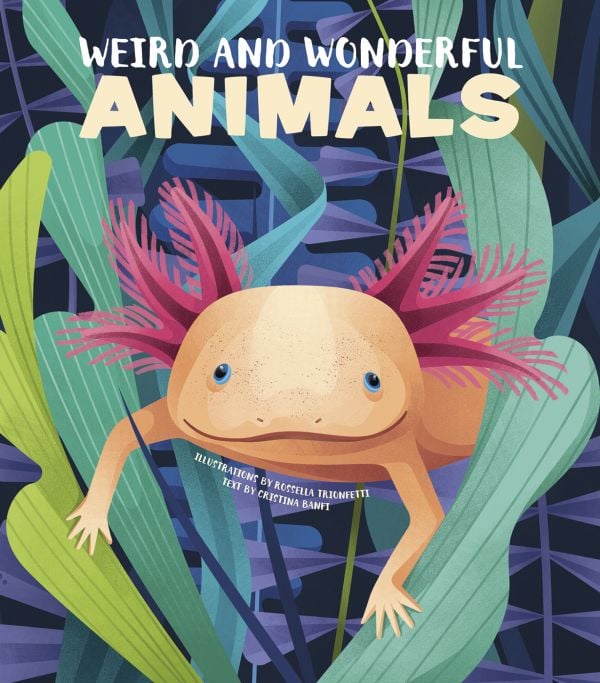 Book cover of Weird and Wonderful Animals, with a Axolotl Salamander with pink gills. Published by White Star.
