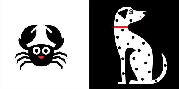 Book cover of Animals, Baby Montessori', with a black bird, rabbit and fish. Published by White Star.