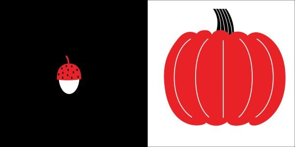 Book cover of Big or Small?, Baby Montessori, with a black elephant with red bird sitting on its back. Published by White Star.