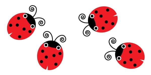 Flower with black petals, red and black ladybird, red tulip, on white cover board book 'Garden, Baby Montessori', by White Star.