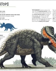 Book cover of Armored Dinosaurs with an Eotriceratops with three horns, roaming through the jungle. Published by White Star.