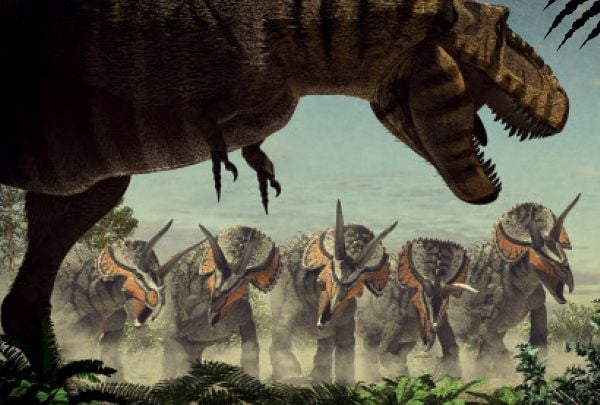 Book cover of Armored Dinosaurs with an Eotriceratops with three horns, roaming through the jungle. Published by White Star.