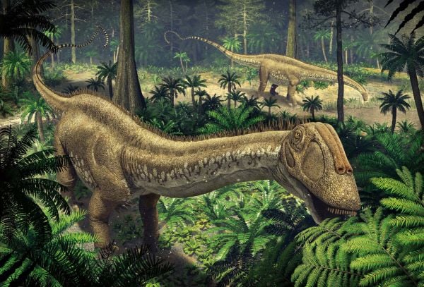 Book cover of Herbivorous Dinosaurs, with a stegosaurus with bright orange back spines. Published by White Star.