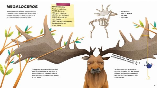 Book cover of Weird and Wonderful Extinct Animals, with an extinct flightless bird called a Dodo. Published by White Star.