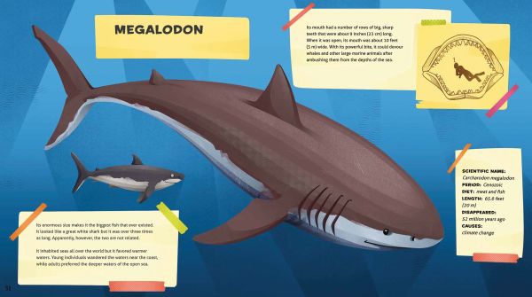 Book cover of Weird and Wonderful Extinct Animals, with an extinct flightless bird called a Dodo. Published by White Star.