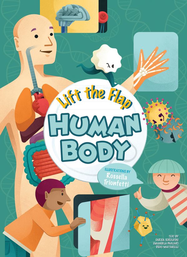 Book cover of Lift the Flap: Human Body, with a figure with organs exposed: lungs, heart and liver. Published by White Star.