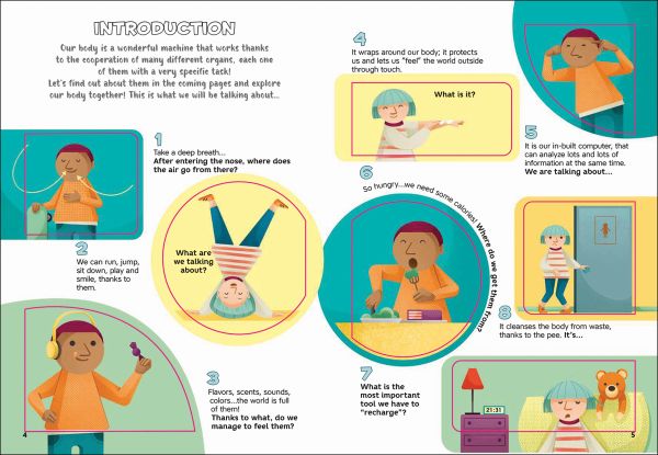 Book cover of Lift the Flap: Human Body, with a figure with organs exposed: lungs, heart and liver. Published by White Star.