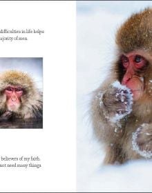 Book cover of 365 Days of Inspiration from Japan, with a figure in colourful kimono, holding wagasa (Japanese umbrella), on cover of '365 Days of Inspiration from Japan', by White Star.