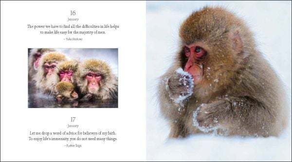 Book cover of 365 Days of Inspiration from Japan, with a figure in colourful kimono, holding wagasa (Japanese umbrella), on cover of '365 Days of Inspiration from Japan', by White Star.