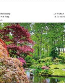 Book cover of 365 Days of Inspiration from Japan, with a figure in colourful kimono, holding wagasa (Japanese umbrella), on cover of '365 Days of Inspiration from Japan', by White Star.