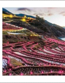 Book cover of 365 Days of Inspiration from Japan, with a figure in colourful kimono, holding wagasa (Japanese umbrella), on cover of '365 Days of Inspiration from Japan', by White Star.