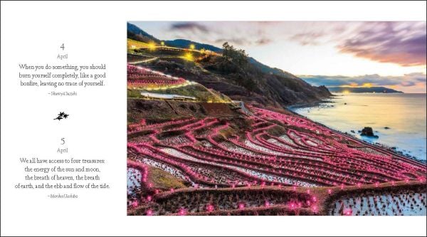 Book cover of 365 Days of Inspiration from Japan, with a figure in colourful kimono, holding wagasa (Japanese umbrella), on cover of '365 Days of Inspiration from Japan', by White Star.