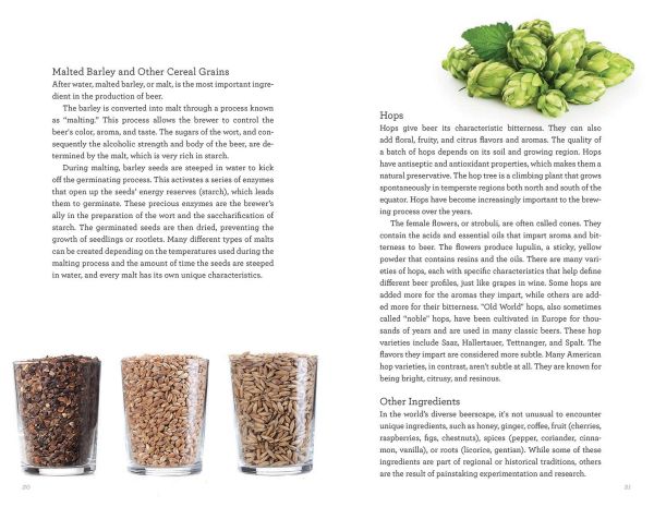 Book cover of Beer, History, Legends, Trends, with a pint of amber coloured beer with frothy head. Published by White Star.