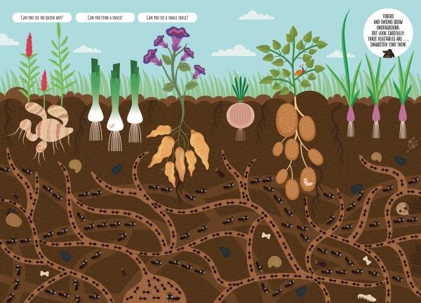 Book cover of Find Me! Underground Adventures with Bernard the Wolf, with a blue wolf underground wearing a helmet with goggles, nocturnal animals in burrows. Published by White Star.