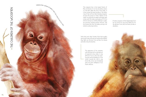 Book cover of 100% Full Size Baby Animals, with a baby black and white panda clinging to green bamboo. Published by White Star.