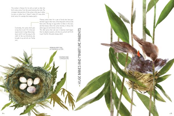 Book cover of 100% Full Size Baby Animals, with a baby black and white panda clinging to green bamboo. Published by White Star.