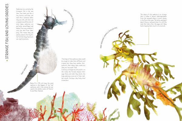 Book cover of 100% Full Size Baby Animals, with a baby black and white panda clinging to green bamboo. Published by White Star.