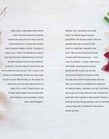 Book cover of Zero Waste, 60 Recipes for a Waste-Free Kitchen, with glass ramakins containing chopped food: orange peels, red peppers, vegetable scraps. Published by White Star.