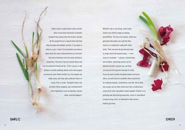 Book cover of Zero Waste, 60 Recipes for a Waste-Free Kitchen, with glass ramakins containing chopped food: orange peels, red peppers, vegetable scraps. Published by White Star.