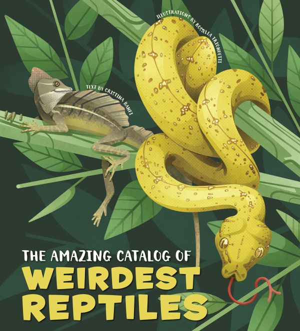 Book cover of The Amazing Catalog of Weirdest Reptiles, with a yellow snake coiled round a tree branch, with flying dragon lizard resting nearby. Published by White Star.