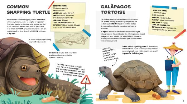 Book cover of The Amazing Catalog of Weirdest Reptiles, with a yellow snake coiled round a tree branch, with flying dragon lizard resting nearby. Published by White Star.