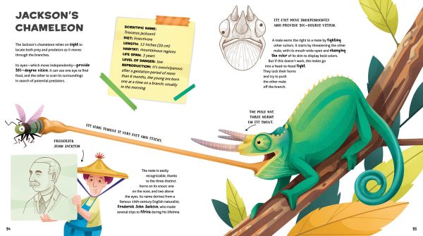 Book cover of The Amazing Catalog of Weirdest Reptiles, with a yellow snake coiled round a tree branch, with flying dragon lizard resting nearby. Published by White Star.